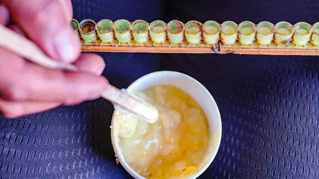 ari-sutu-guvenilir-markalar