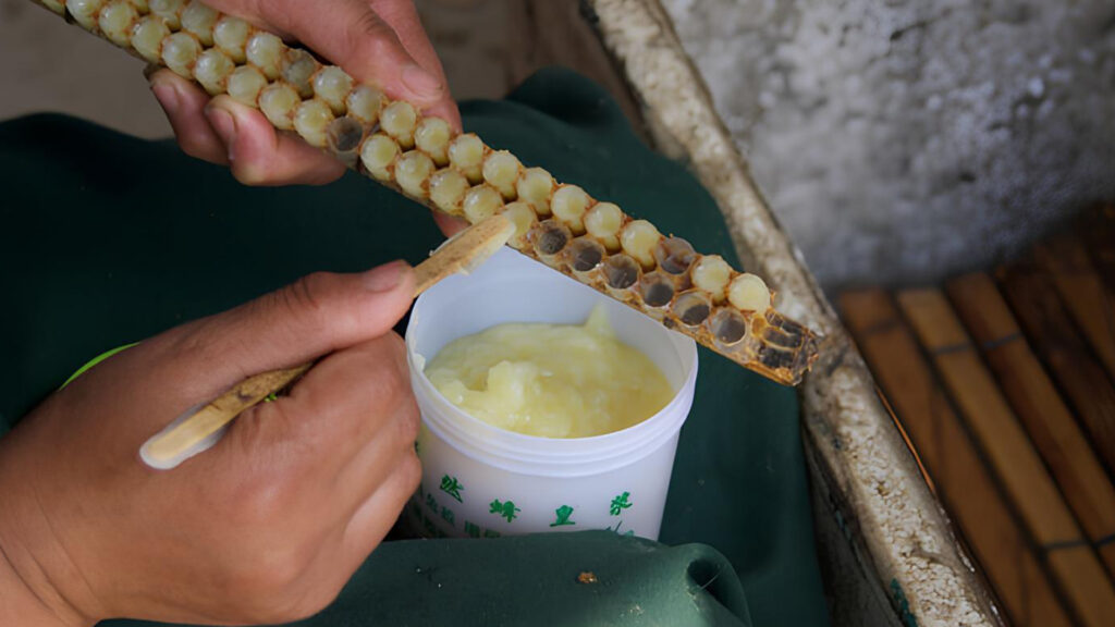 ari-sutu-neden-pahali