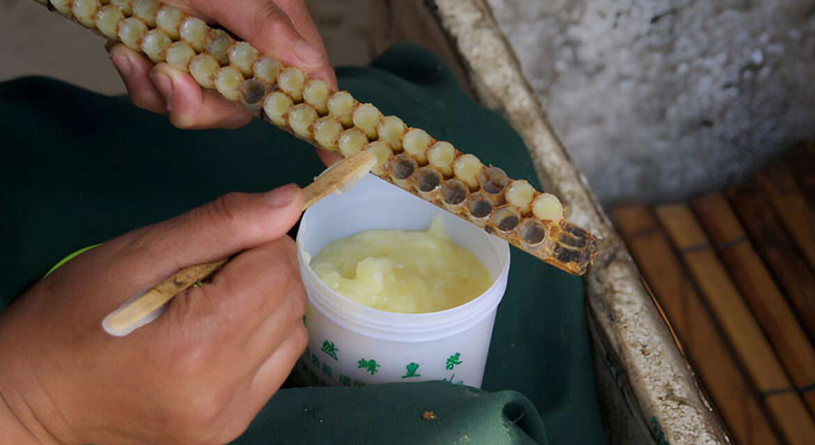 ari-sutu-neden-pahali