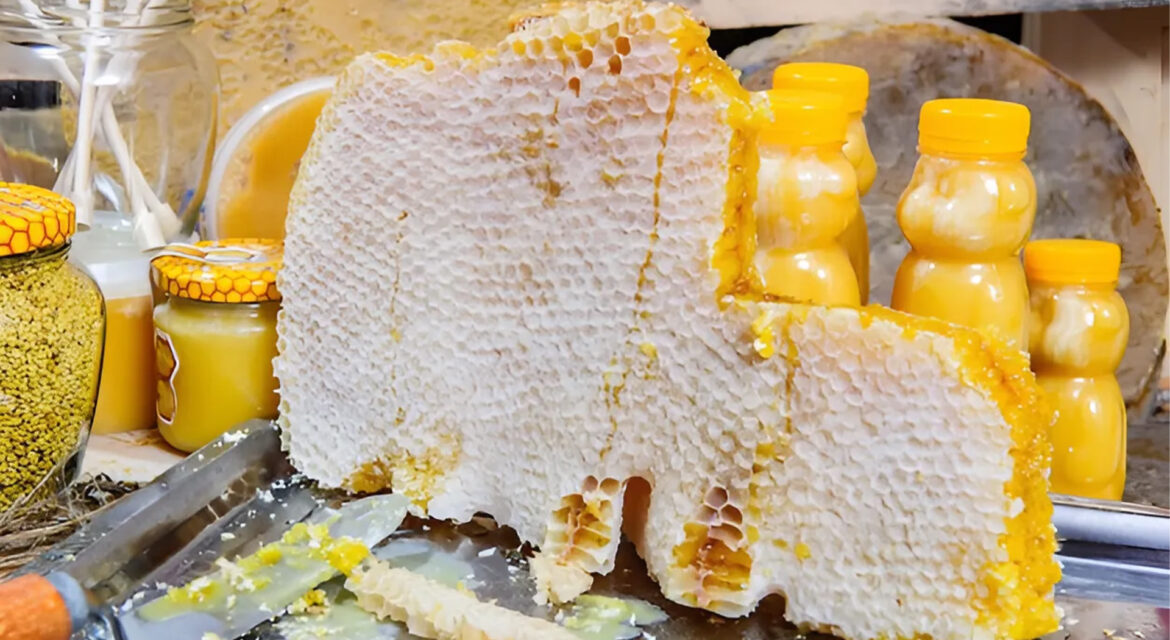 ari-sutu-neye-kullanilir