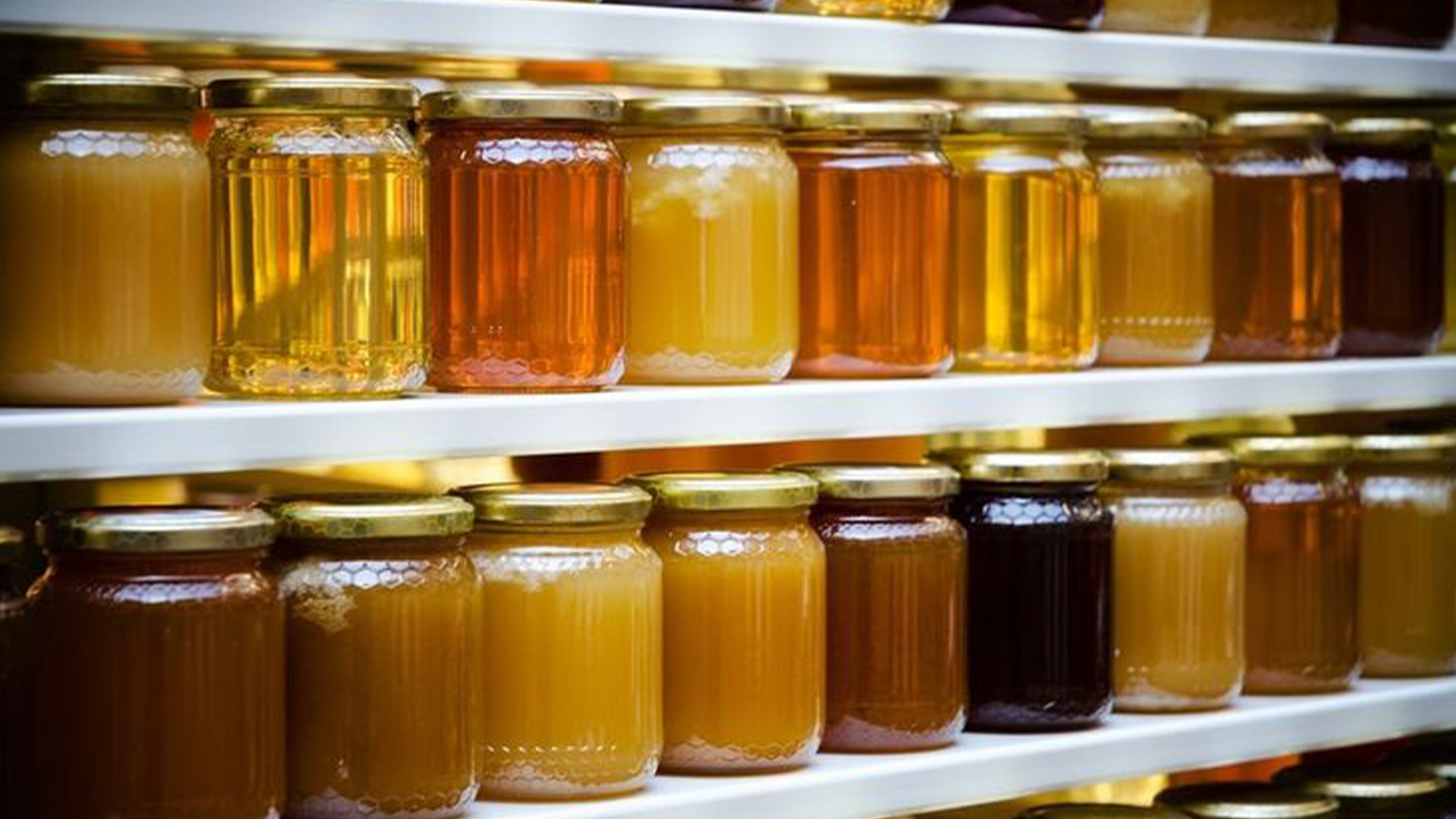 gercek-ari-sutu-nasil-anlasilir