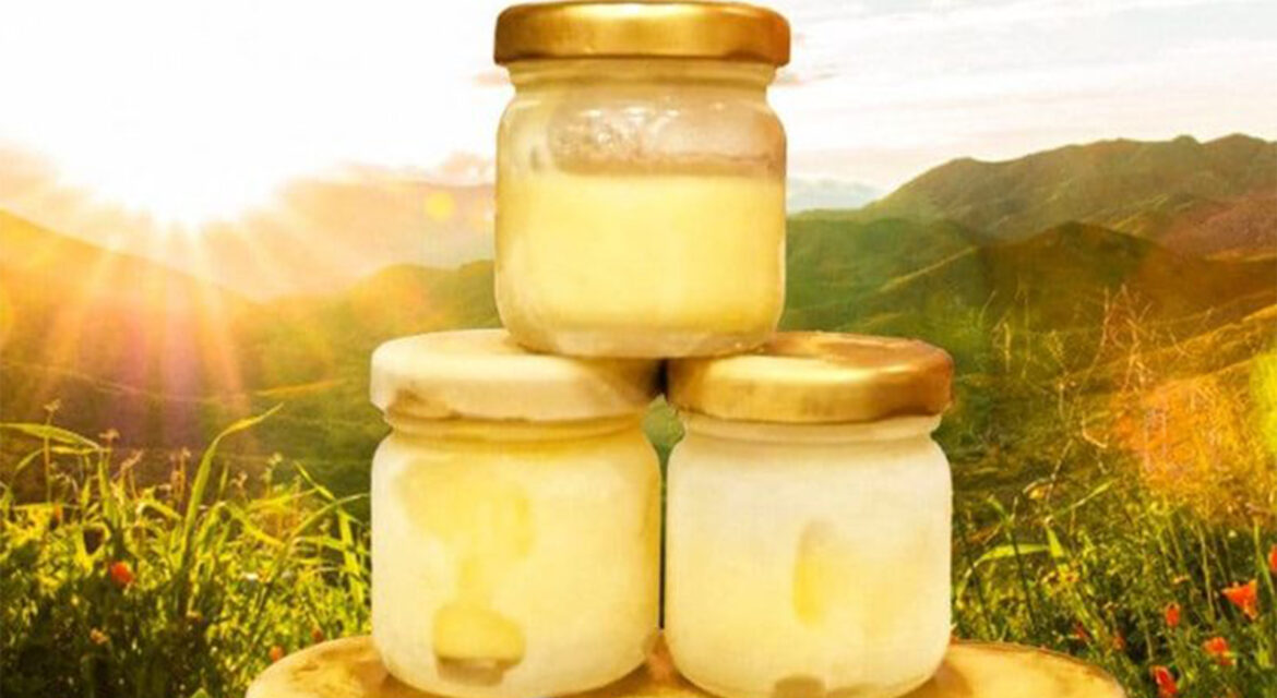 saf-ari-sutu-nerede-satilir