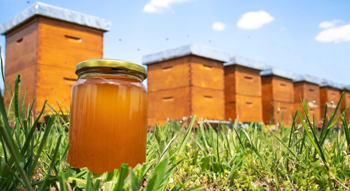 ari-sutunun-bozuldugunu-nasil-anlariz