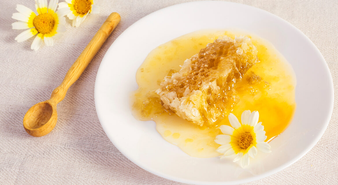 gercek-ari-sutu-nereden-alinir